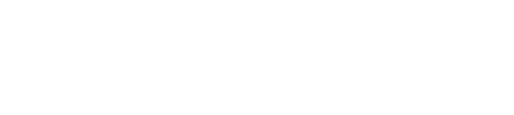 LogoBrainLab.png